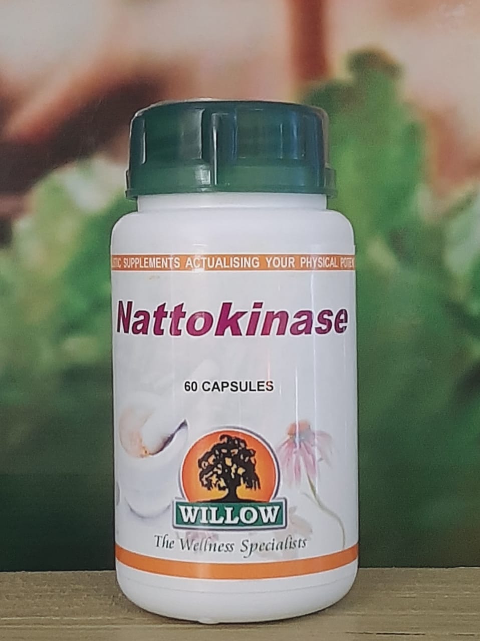 Willow Nattokinase 60 capsules