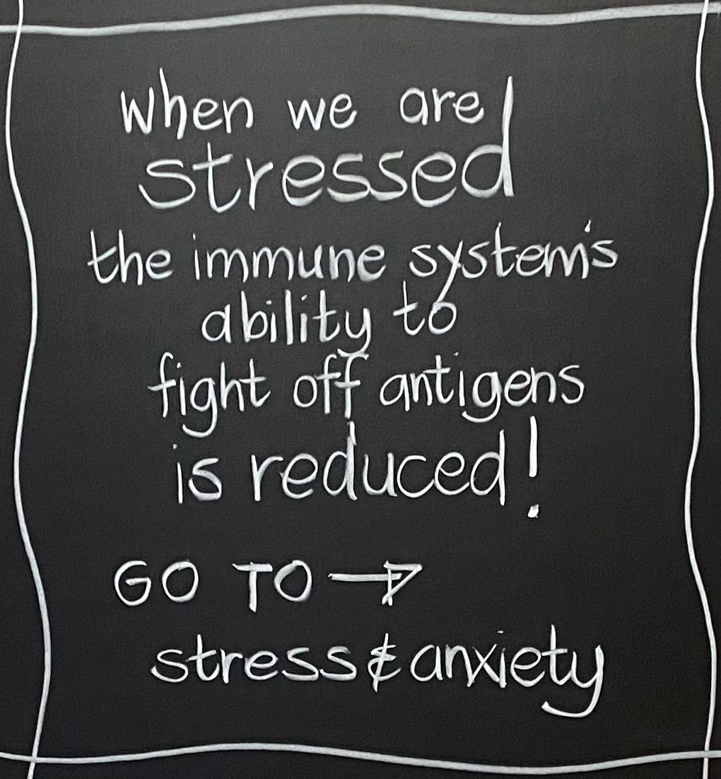 🌱stress and immune system