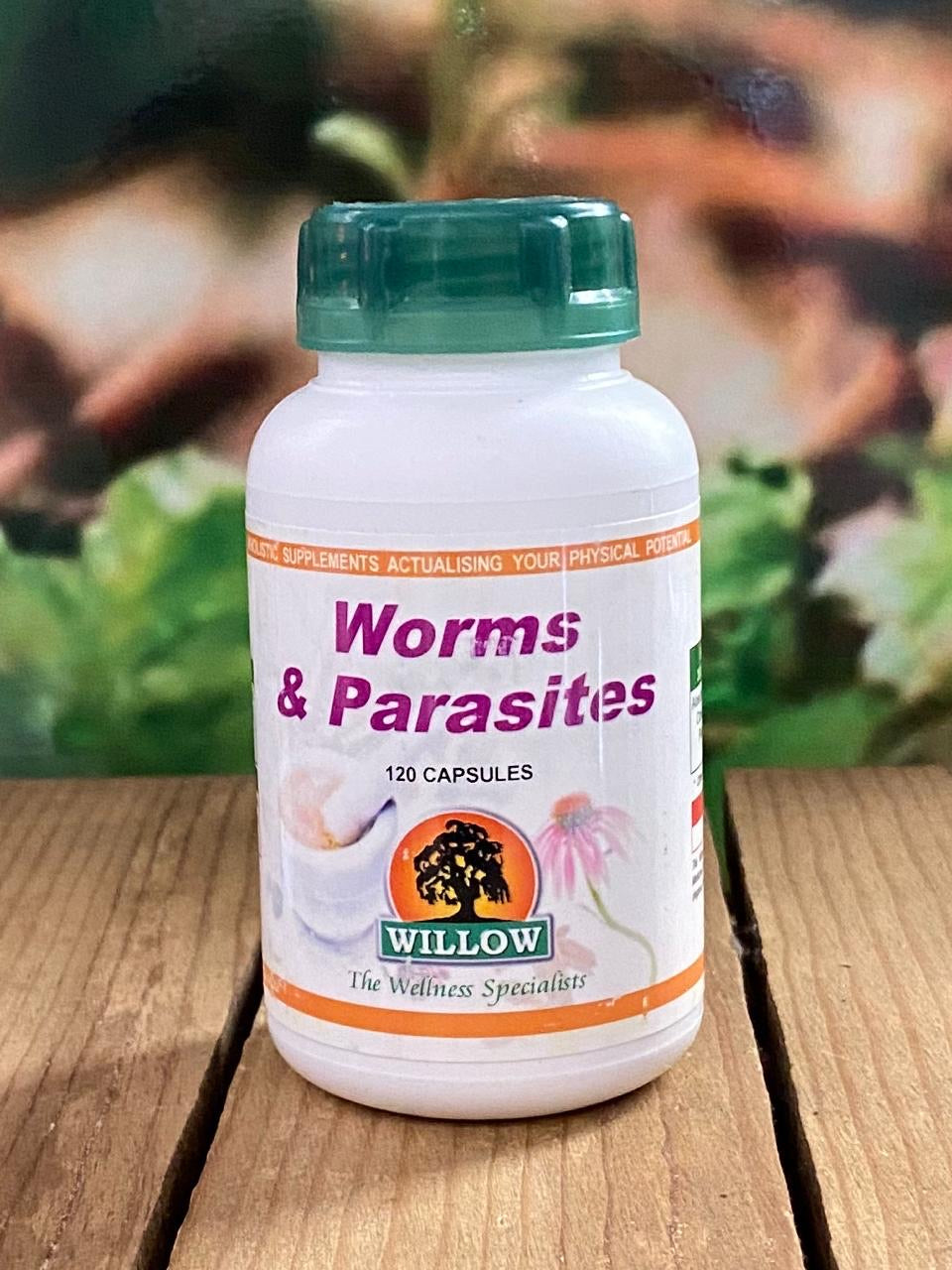 Willow Worms & Parasites 120 capsules